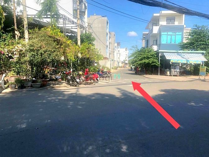 4162222 ảnh đại diện 1