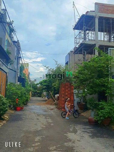 4162220 ảnh đại diện 1