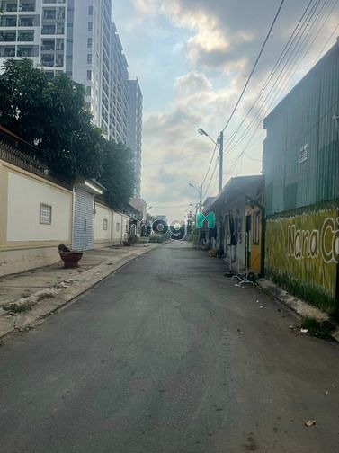 4162221 ảnh đại diện 1