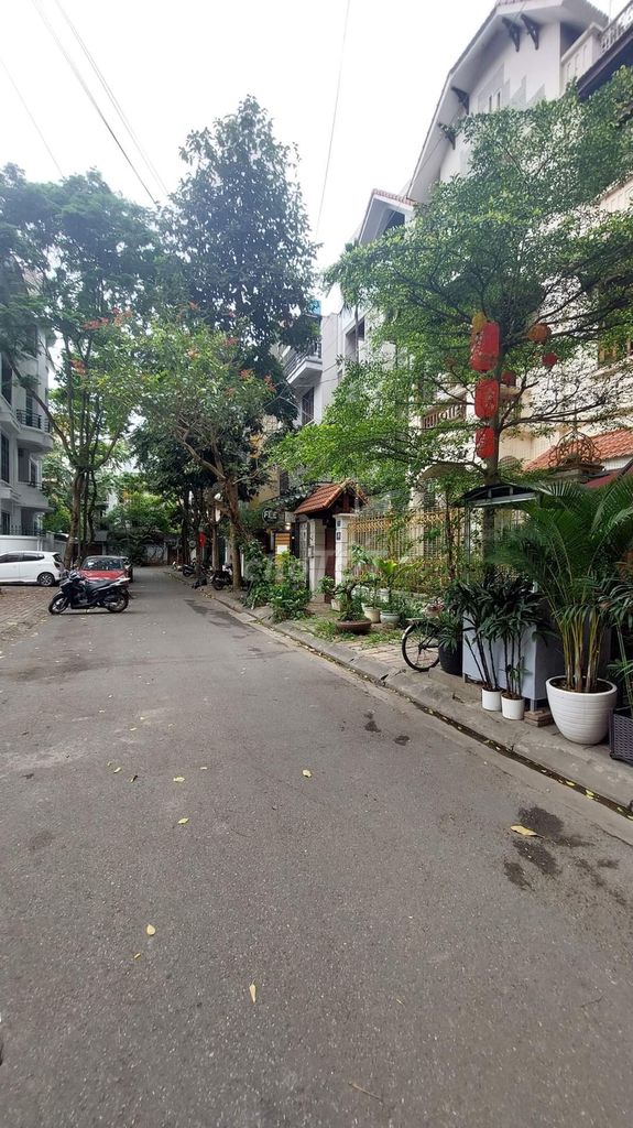 4160710 ảnh đại diện 2