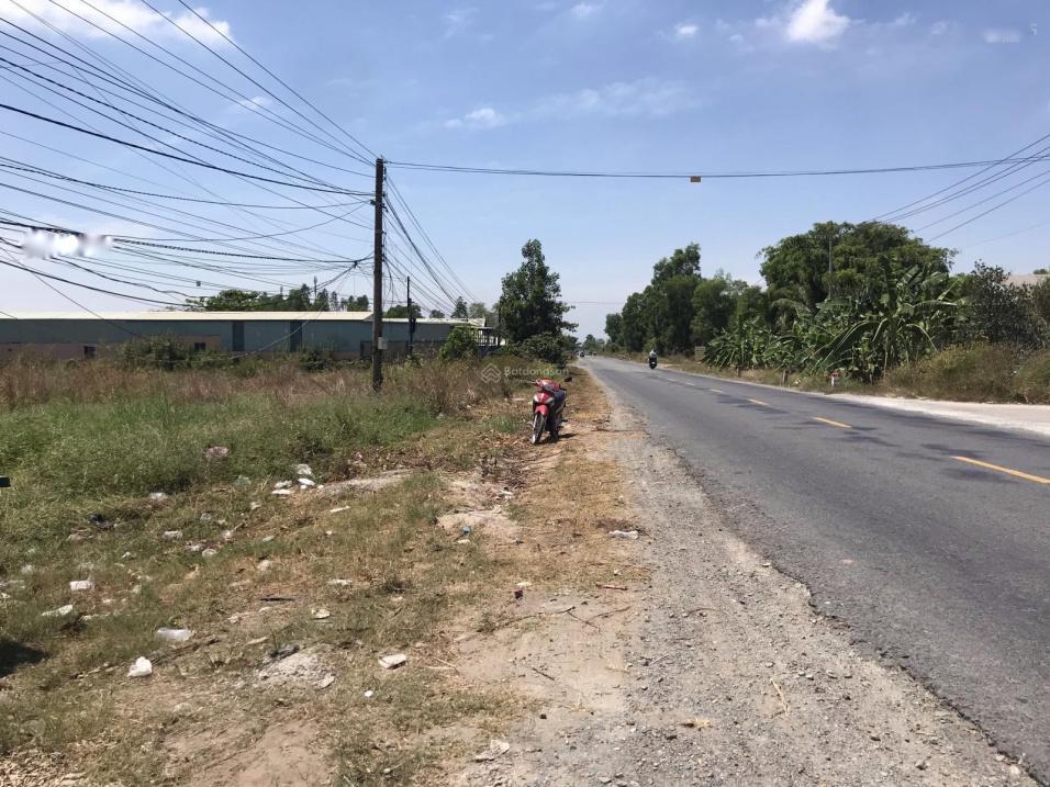 4161185 ảnh đại diện 1