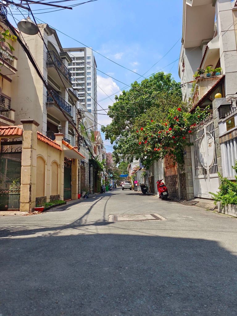 4161281 ảnh đại diện 1