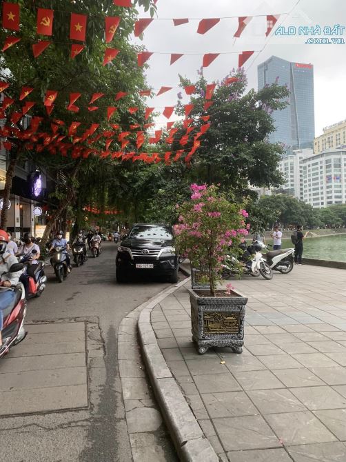 4162563 ảnh đại diện 1