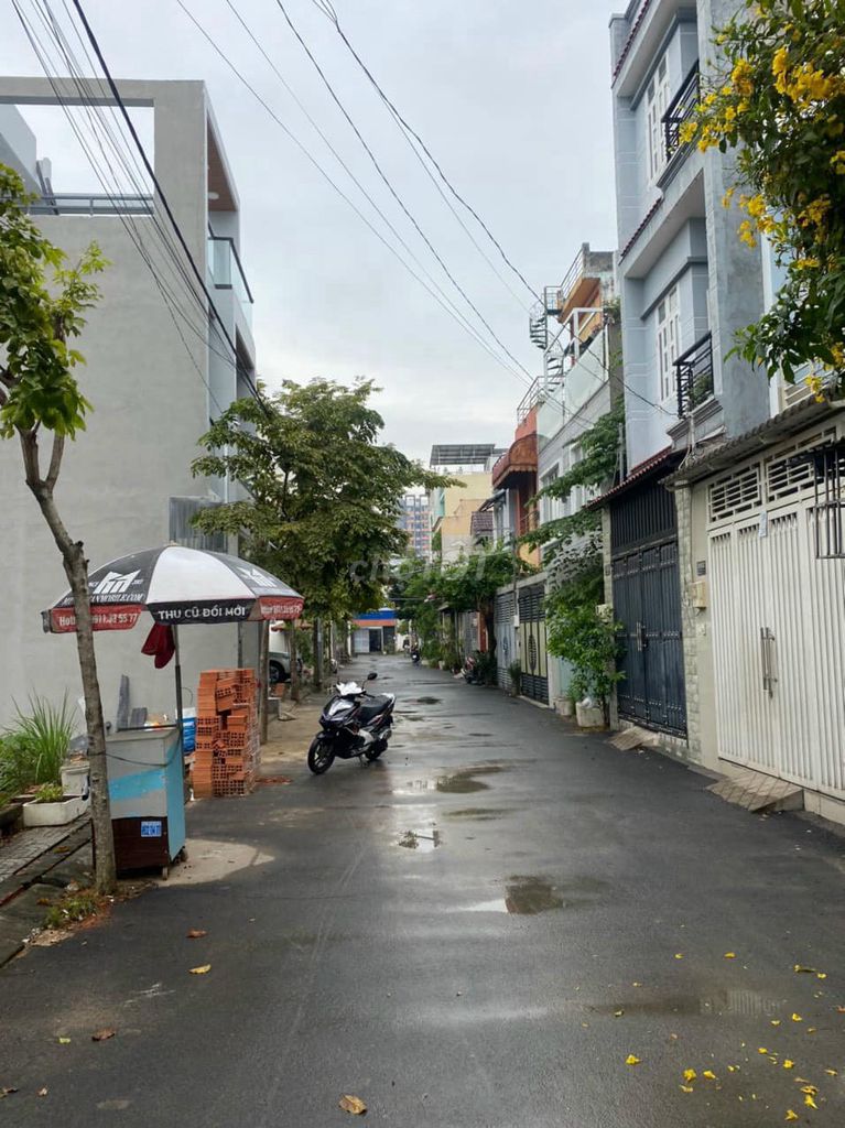 4163014 ảnh đại diện 2