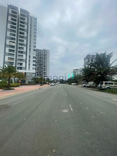 4162221 ảnh đại diện 1