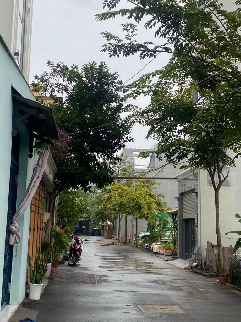 4163014 ảnh đại diện 1