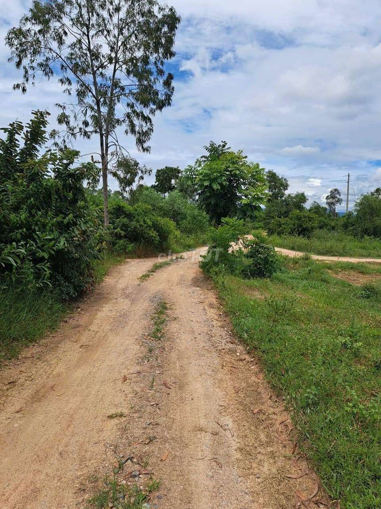 4166093 ảnh đại diện 2