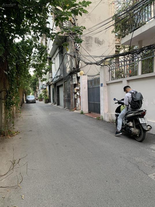 4166022 ảnh đại diện 1