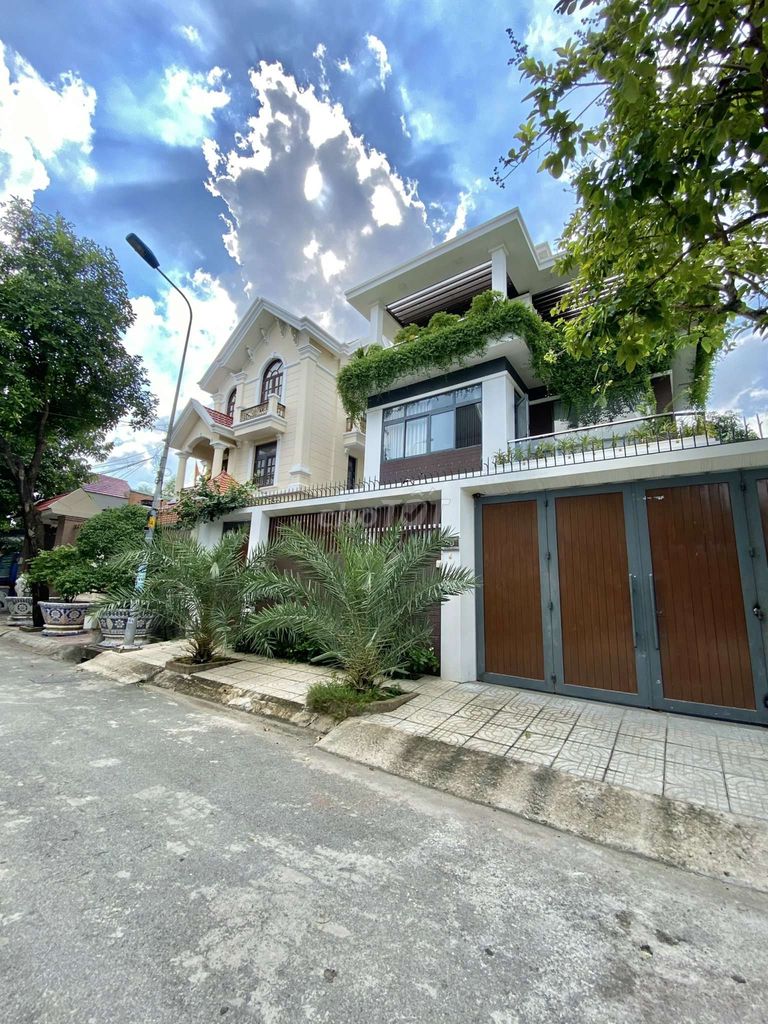 4166106 ảnh đại diện 2