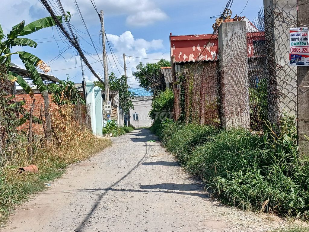 4164550 ảnh đại diện 2