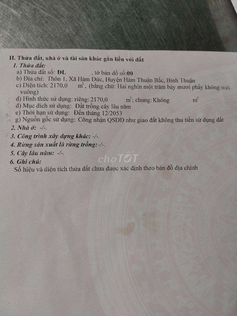 4166093 ảnh đại diện 1