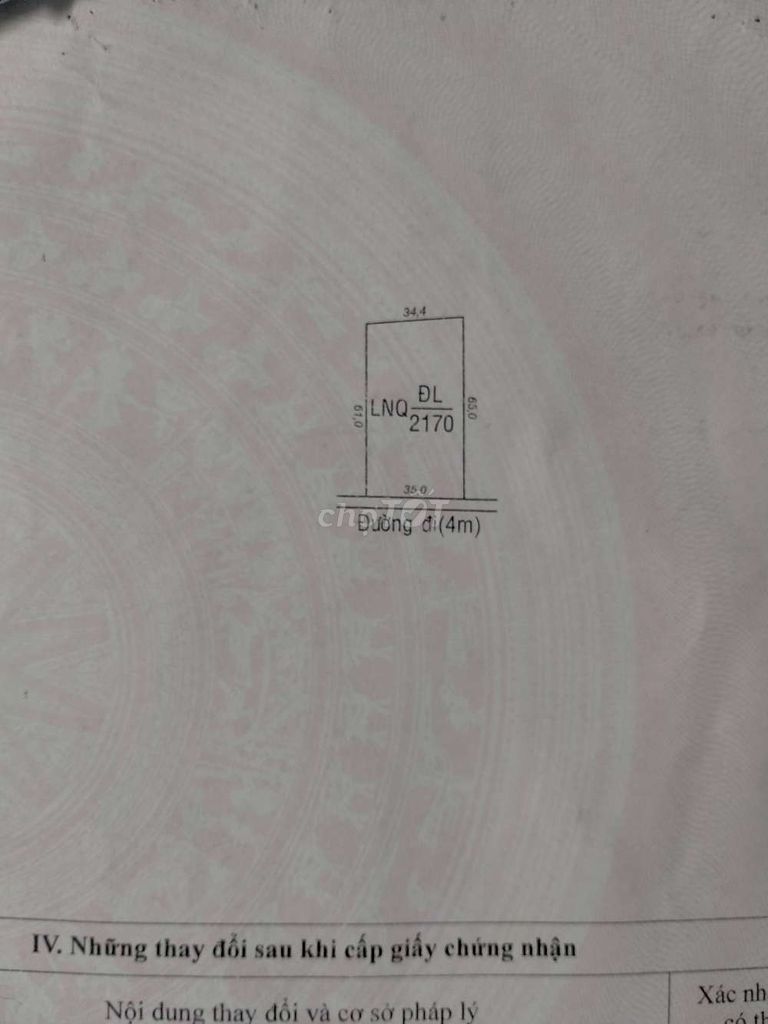 4166093 ảnh đại diện 1