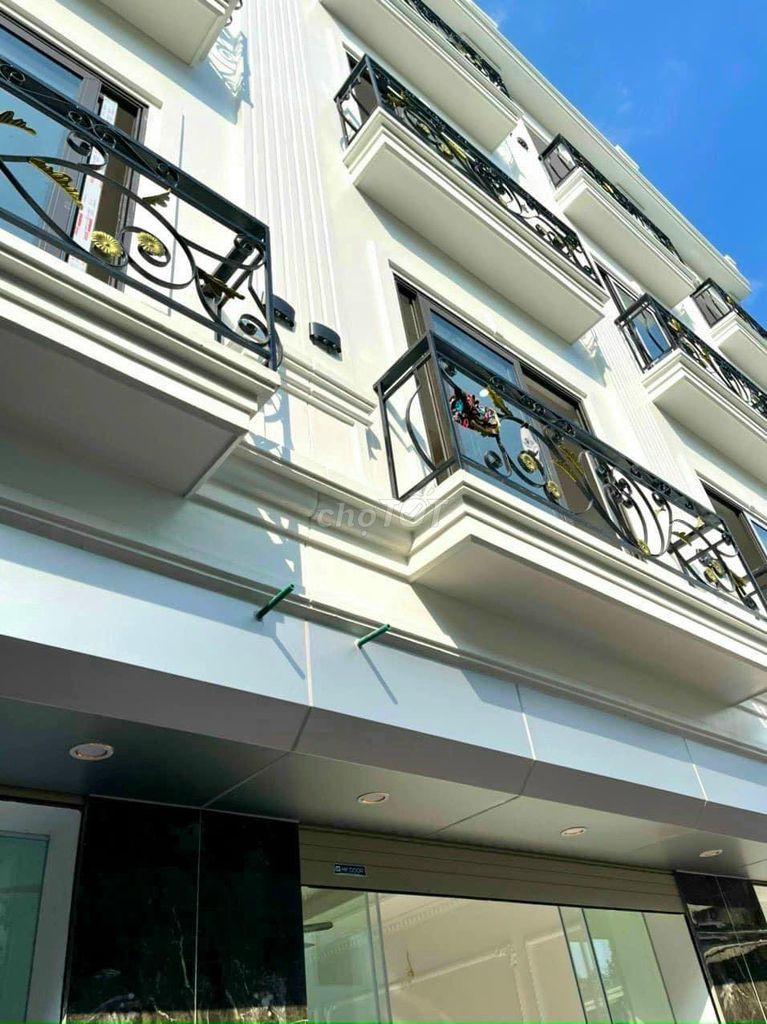 4164173 ảnh đại diện 1