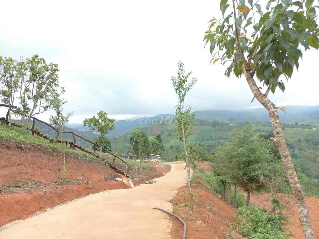 4164020 ảnh đại diện 2