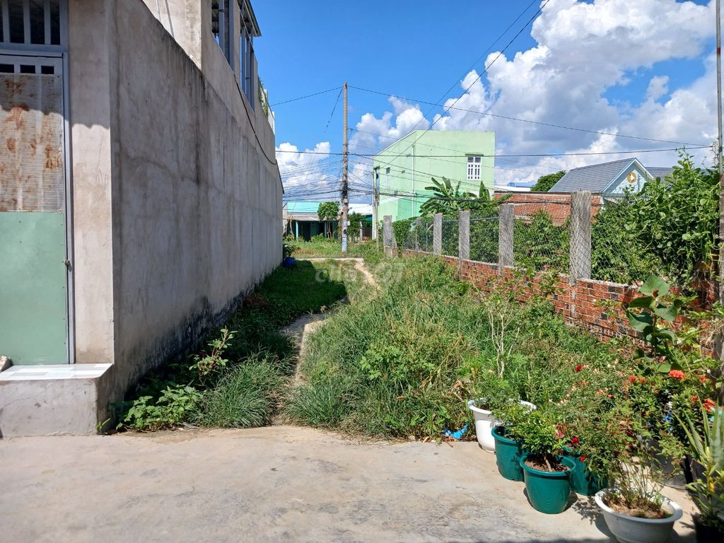 4164550 ảnh đại diện 1