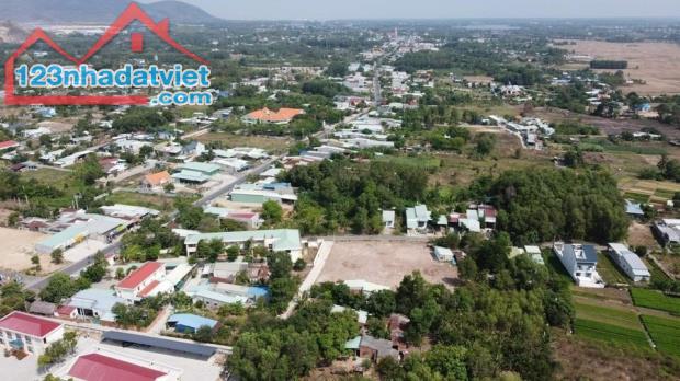 4164050 ảnh đại diện 2