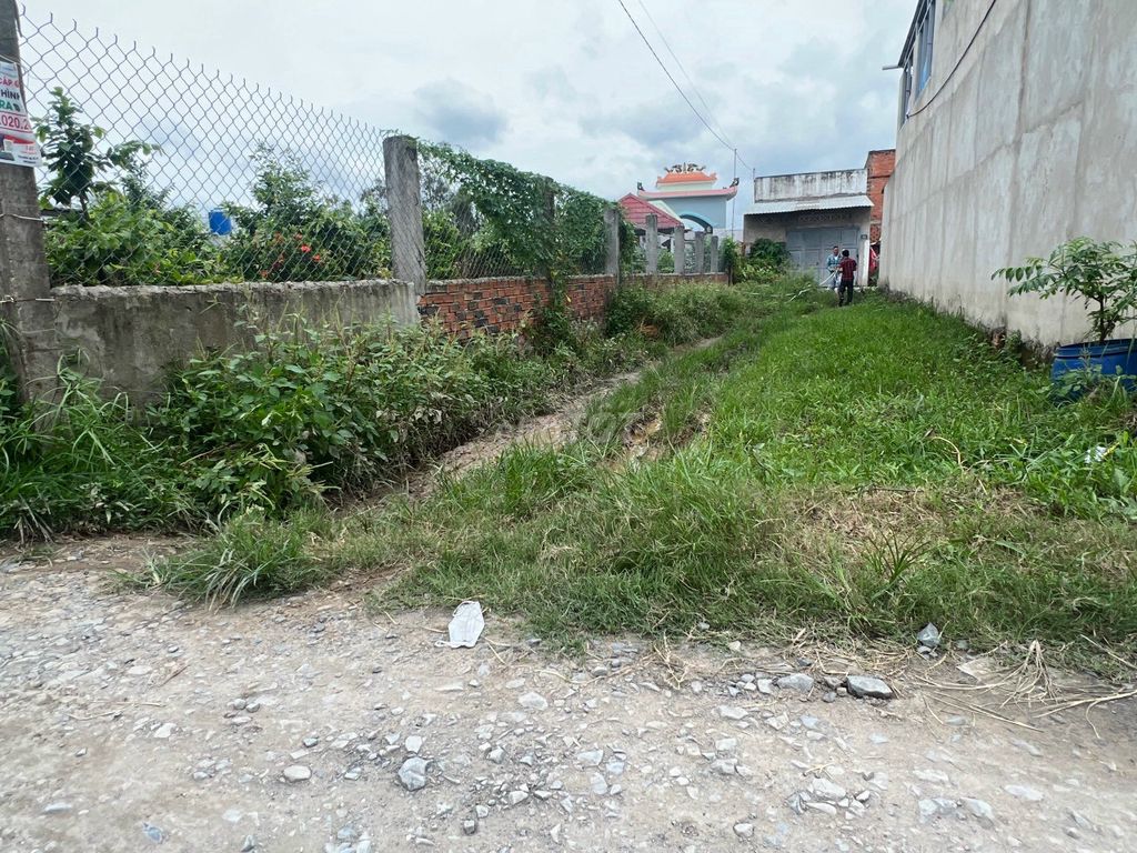 4164550 ảnh đại diện 1