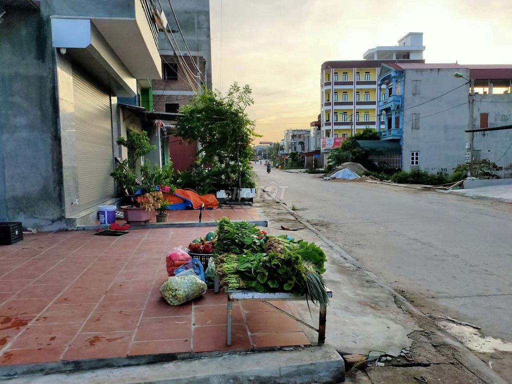 4165992 ảnh đại diện 1