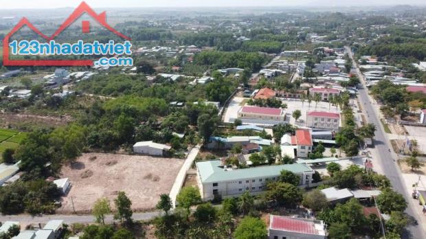 4164049 ảnh đại diện 1