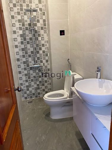 4164911 ảnh đại diện 1