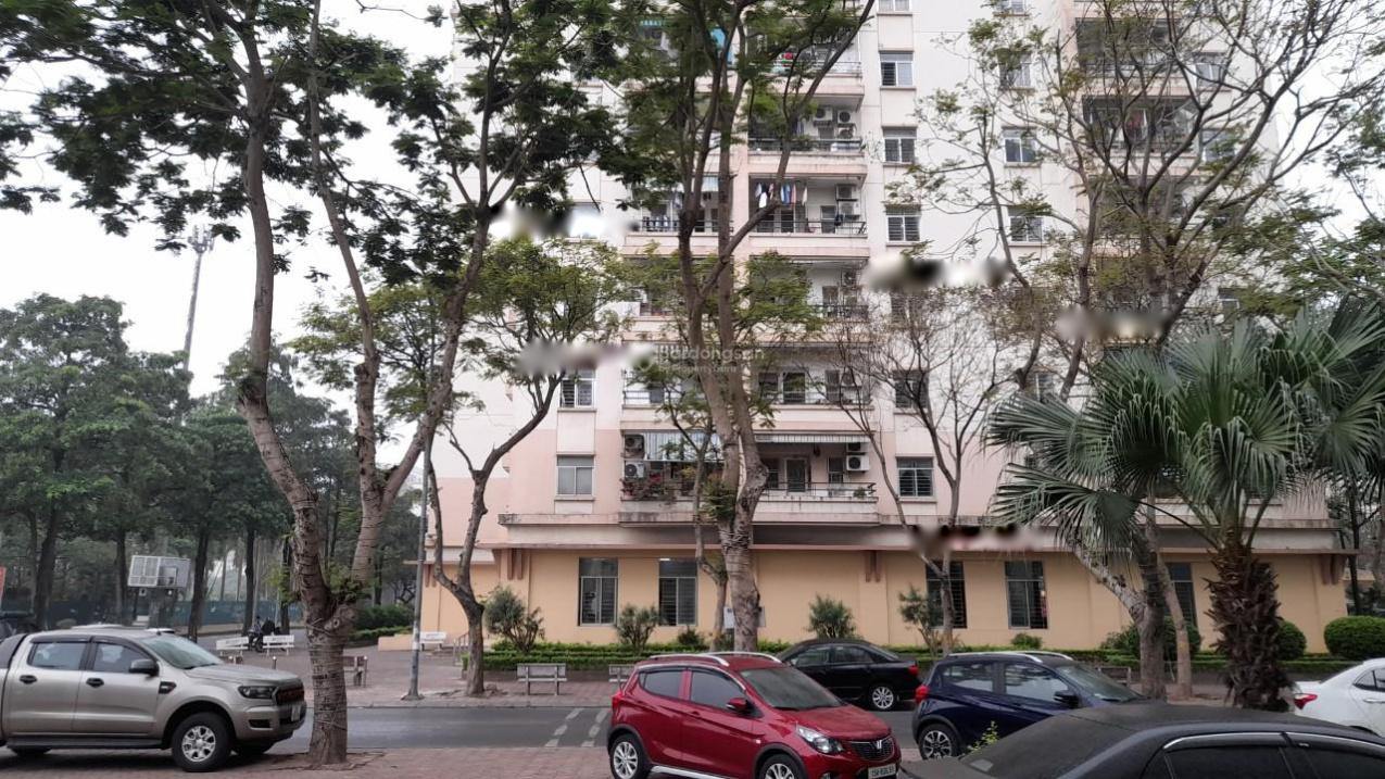 4164004 ảnh đại diện 1