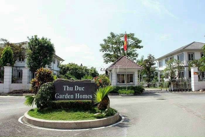 4166106 ảnh đại diện 1