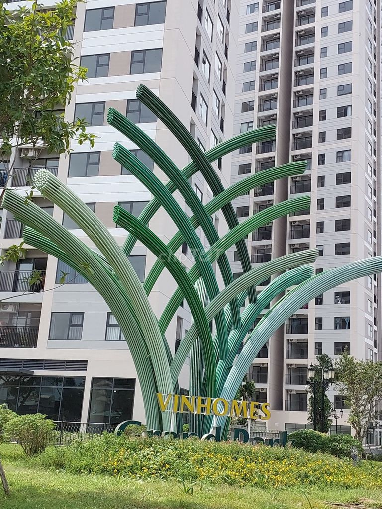 4169097 ảnh đại diện 2