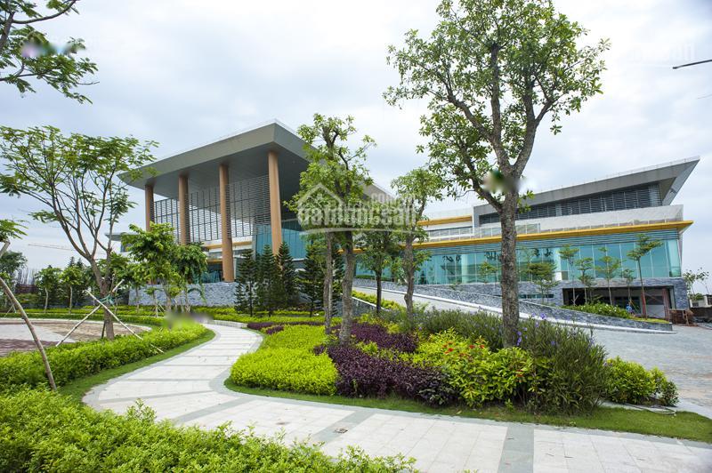 4169633 ảnh đại diện 1