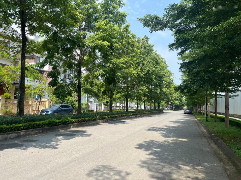 4169627 ảnh đại diện 1