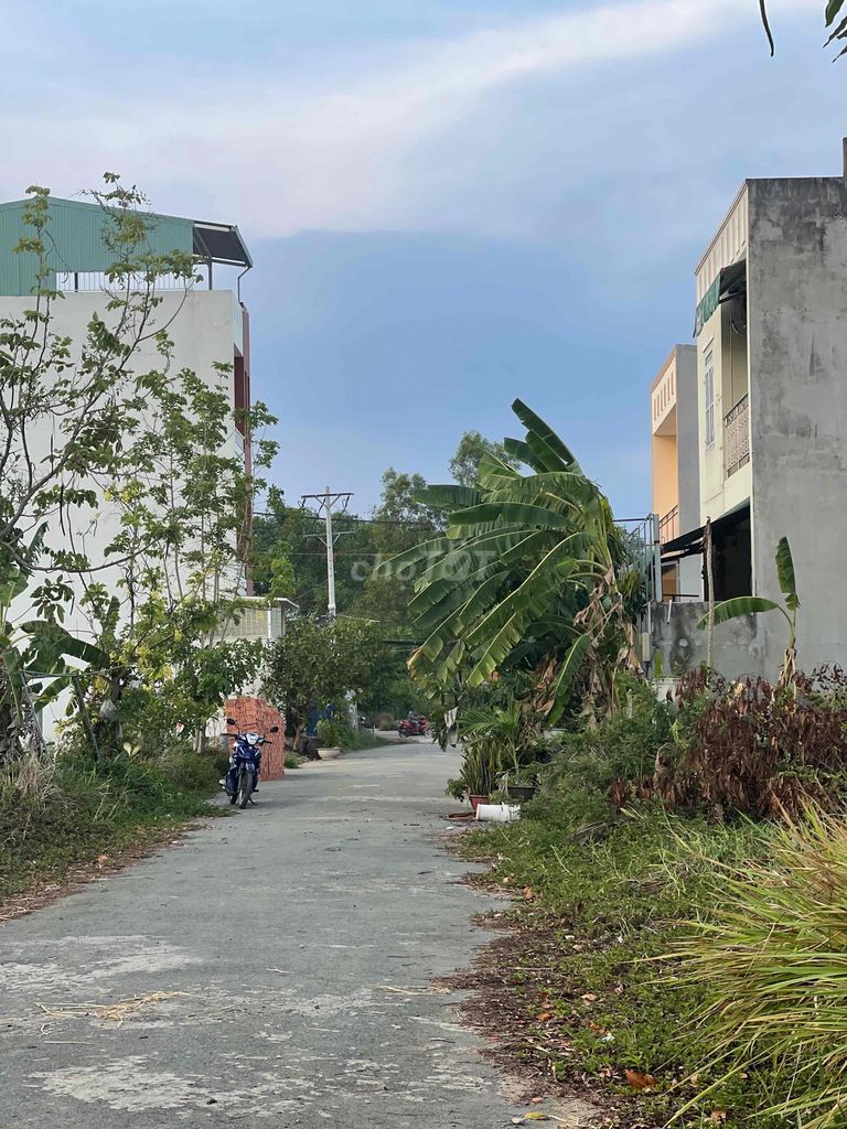 4171858 ảnh đại diện 1