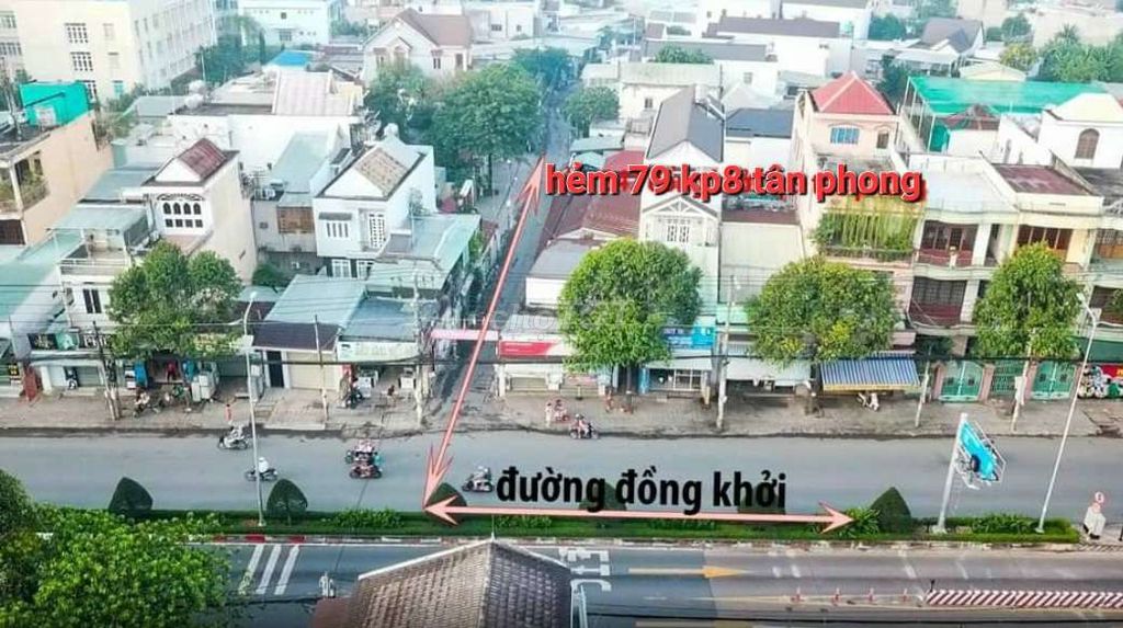 4172012 ảnh đại diện 1