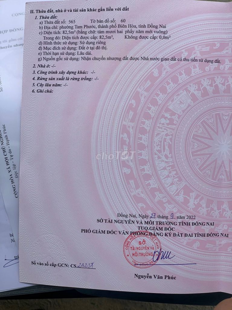 4170697 ảnh đại diện 1