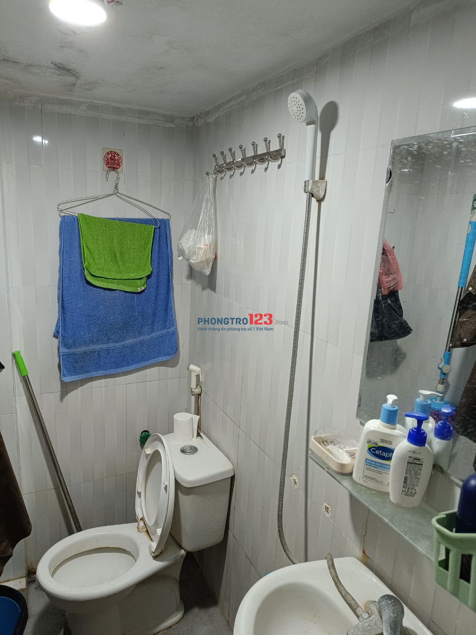 4172934 ảnh đại diện 2