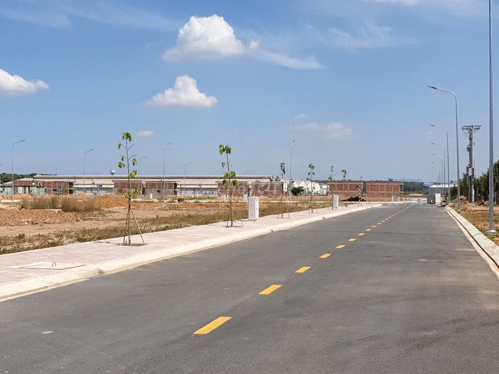 4170681 ảnh đại diện 2