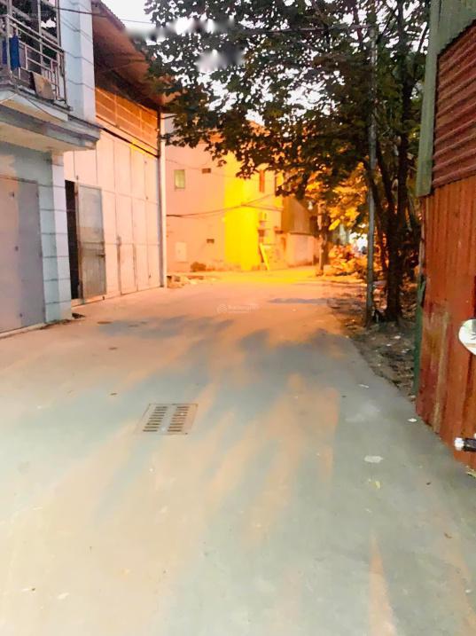4170181 ảnh đại diện 2