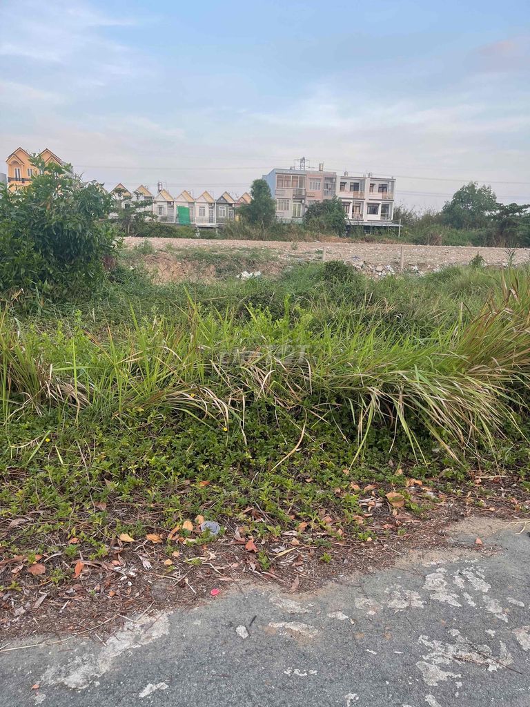 4171858 ảnh đại diện 1