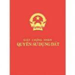 4170461 ảnh đại diện 1