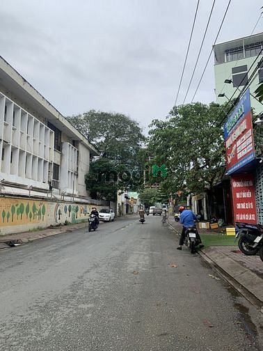4172732 ảnh đại diện 1