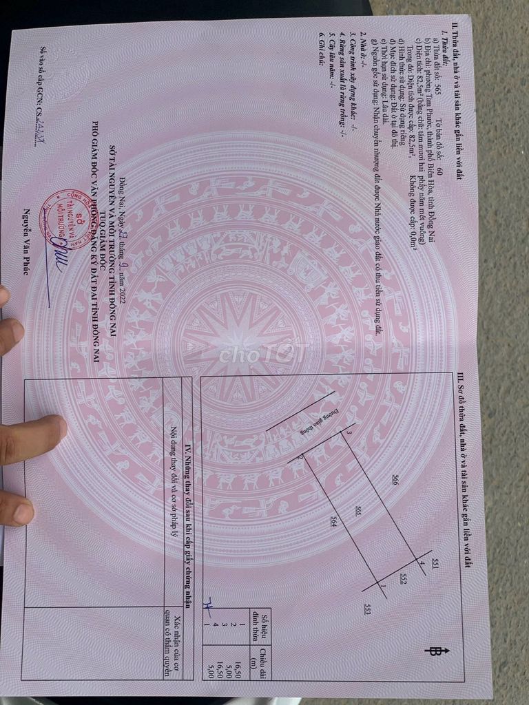 4170697 ảnh đại diện 1