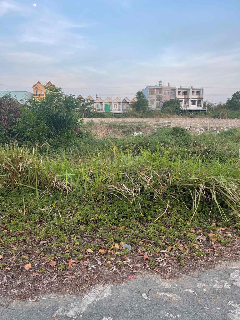 4171858 ảnh đại diện 2