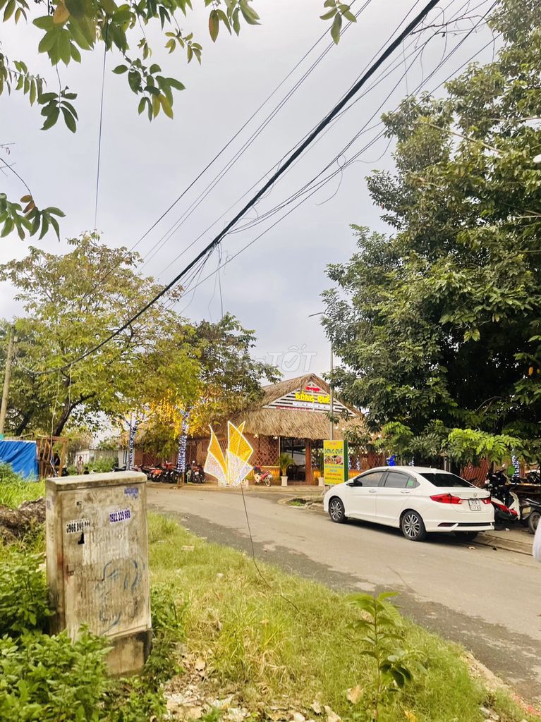 4175082 ảnh đại diện 1