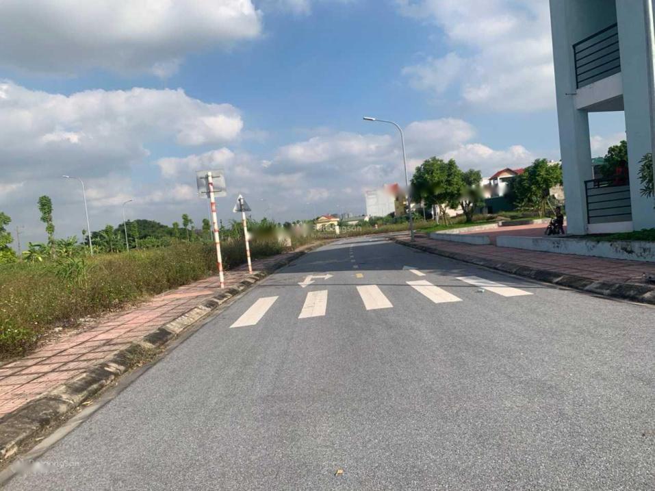 4174020 ảnh đại diện 1