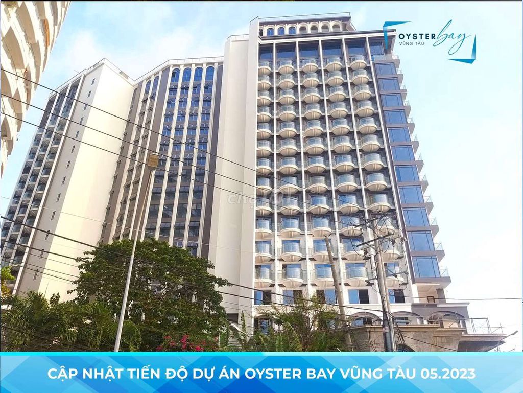 4173618 ảnh đại diện 1