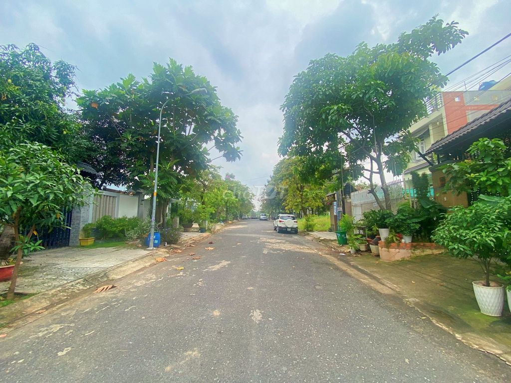 4175082 ảnh đại diện 2