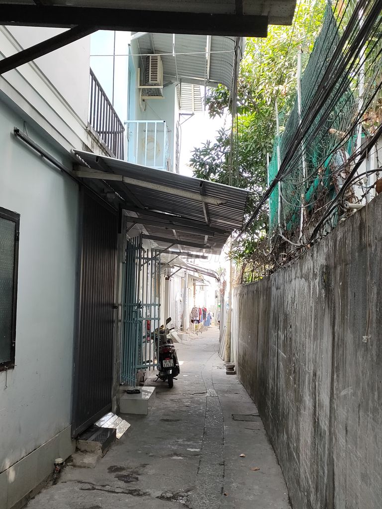 4174477 ảnh đại diện 1