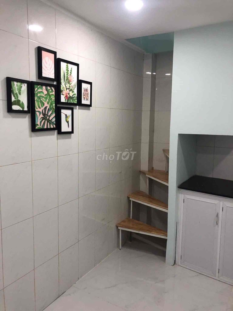 4176661 ảnh đại diện 1