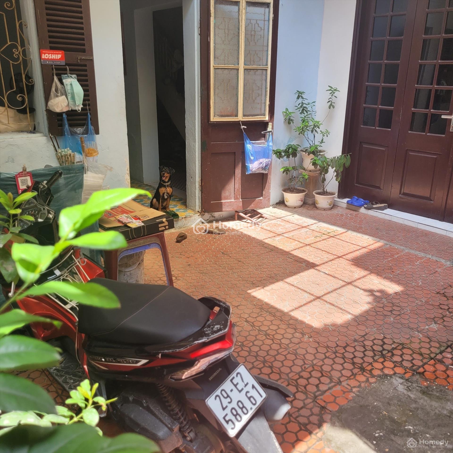 4176417 ảnh đại diện 2