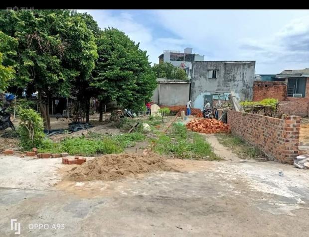 4176762 ảnh đại diện 1