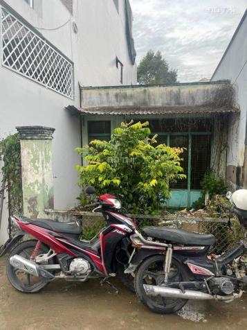 4176290 ảnh đại diện 1