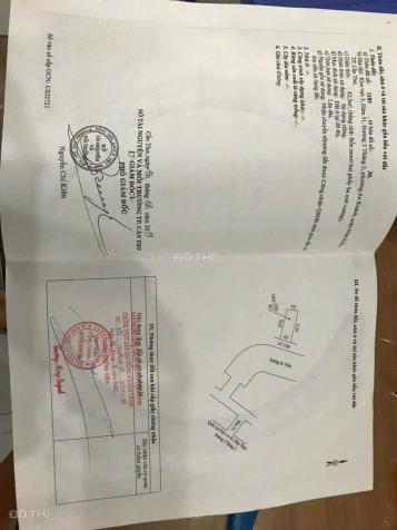 4176301 ảnh đại diện 2